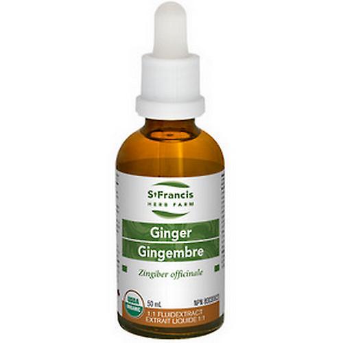 St. Francis Herb Farm Inc. St. Francis Herb Farm Inc. Ginger W 1:1 Fluid Extract, 50 Ml on Productcaster.