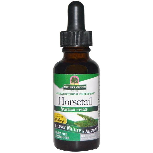 Nature's Answer, Horsetail, Alcohol-Free, 2000 mg, 1 fl oz (30 ml) on Productcaster.