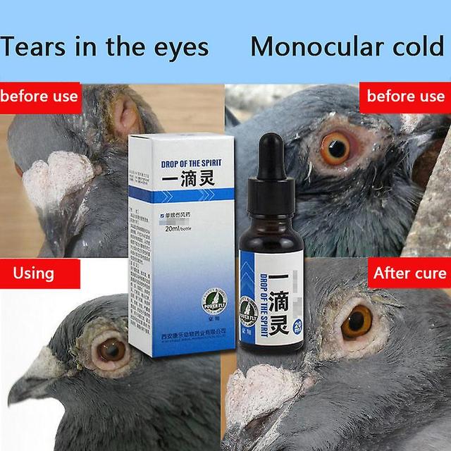 Rion Pigeon Eye Drops For Single Eye, Cold, Eyes, Tears, Respiratory Tract Swelling, A Drop Of Spirit, Conjunctivitis, Sneezing, 20ml on Productcaster.