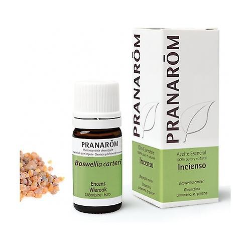 Pranarôm Frankincense Essential Oil (Boswellia carteri) 5 ml of essential oil on Productcaster.