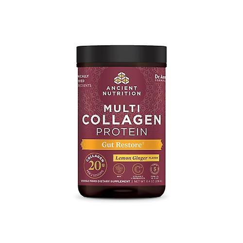 Anceint Nutrition Multi Collagen Protein Gut Restore, Lemon Ginger 8.4 Oz (Pack of 1) on Productcaster.