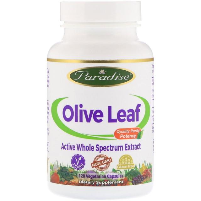 Paradise Herbs, Olive Leaf, 120 Vegetarian Capsules on Productcaster.