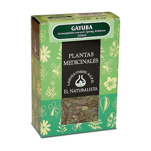 El Naturalista Medvedica 80 g on Productcaster.