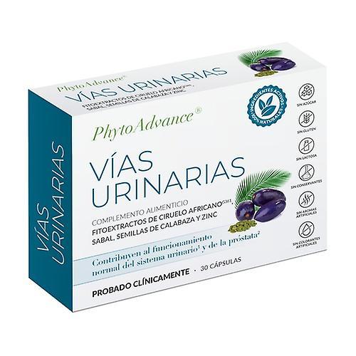 Phytoadvance Urinary tract 28 capsules on Productcaster.