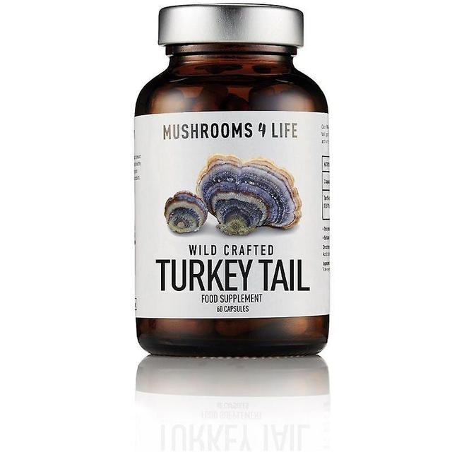 Mushrooms4Life Organic Turkey Tail Capsules 60 (ML0512) on Productcaster.