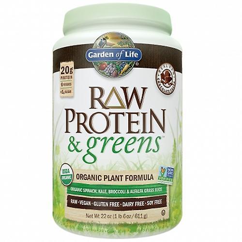 Garden of Life Raw Protein and Greens, Chocolate 611g (Pack of 3) on Productcaster.