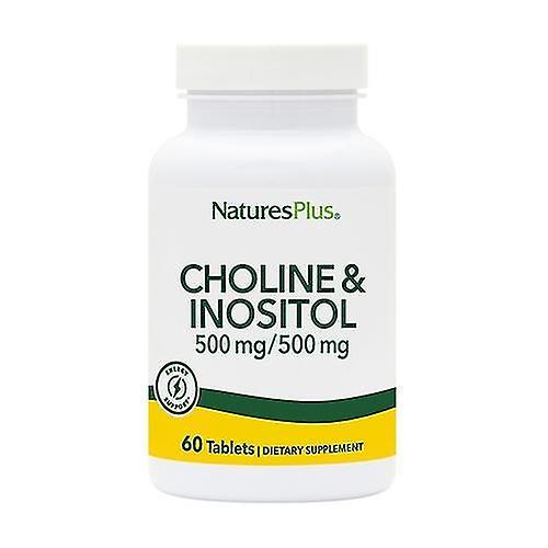 Cholina + Inozytol 60 kapsułek po 500 mg on Productcaster.