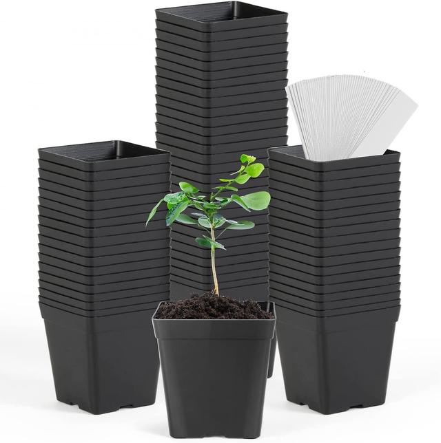 Hgbd-juni Fox Square plantskolekrukor 3,3 tum flexibla plastplantor krukor fyrkantiga krukor för växter, saftiga, blomma, förpackning med 60, med 6... on Productcaster.