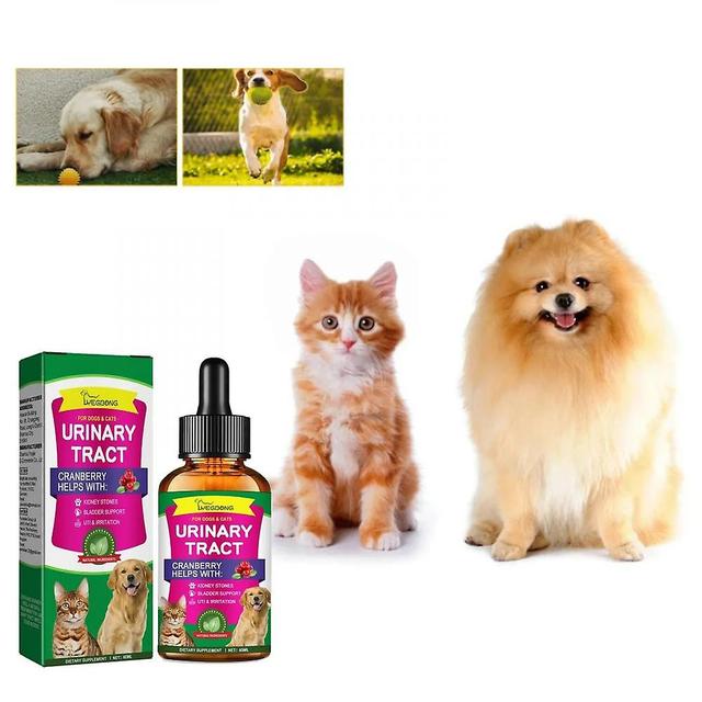 Pet Bladder Treatment Drops Frequent Urination Cure Improve Immunity Preventing Infections Puppy Pain Relief Cat Dog Supplements KGT on Productcaster.