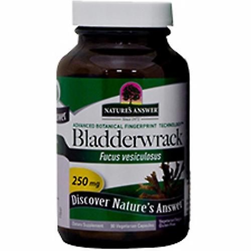 Nature's Answer Bladderwrack, Thallus 90 Caps (Pack of 1) on Productcaster.