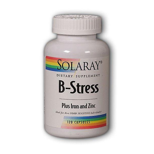 Solaray b-stress plus ijzer en zink 120 capsules on Productcaster.