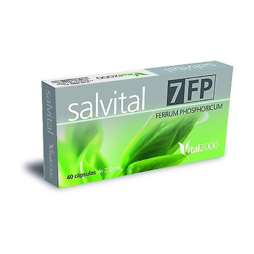 Vital 2000 Salvital 7 Ferrum Phosphoricum 40 capsules of 250mg on Productcaster.