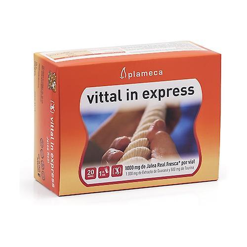 Plameca Vittal In Express Royal Jelly 20 ampuliek s objemom 10 ml on Productcaster.