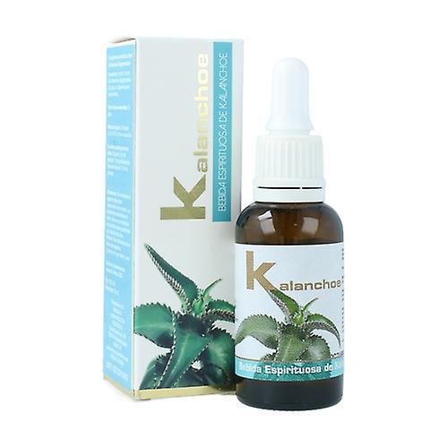 Lumen Kalanchoe podporuje obranyschopnosť a regeneráciu buniek 30 ml on Productcaster.