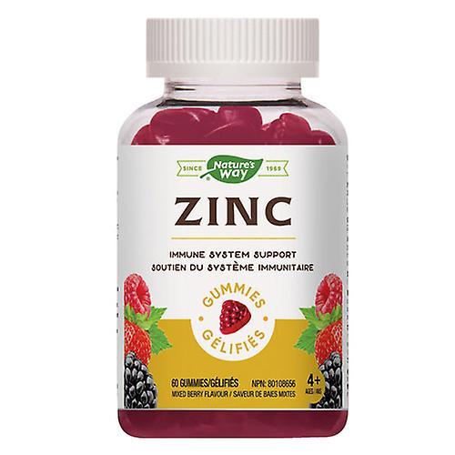 Nature s Way Nature's Way Zinc Gummies Mixed Berry, 60 Count on Productcaster.