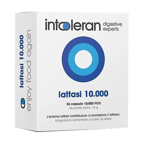 Intoleran Lactase 10,000 36 capsules on Productcaster.