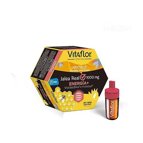 VITAFLOR royal jelly energy plus 20 vials (Pear) on Productcaster.