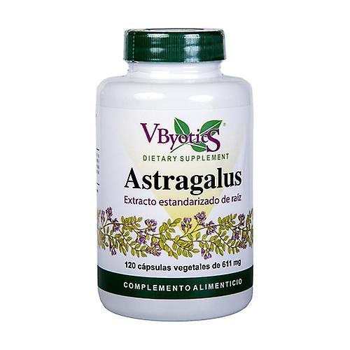 Vbyotics astragalus root extract 120 vegetable capsules of 611mg on Productcaster.