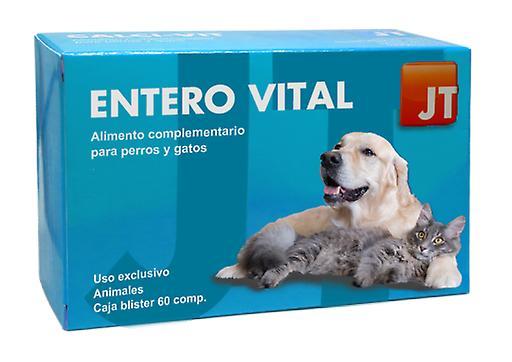 JTPharma Dietary Supplement For Dogs And Cats Enterovital 60 Tablets on Productcaster.