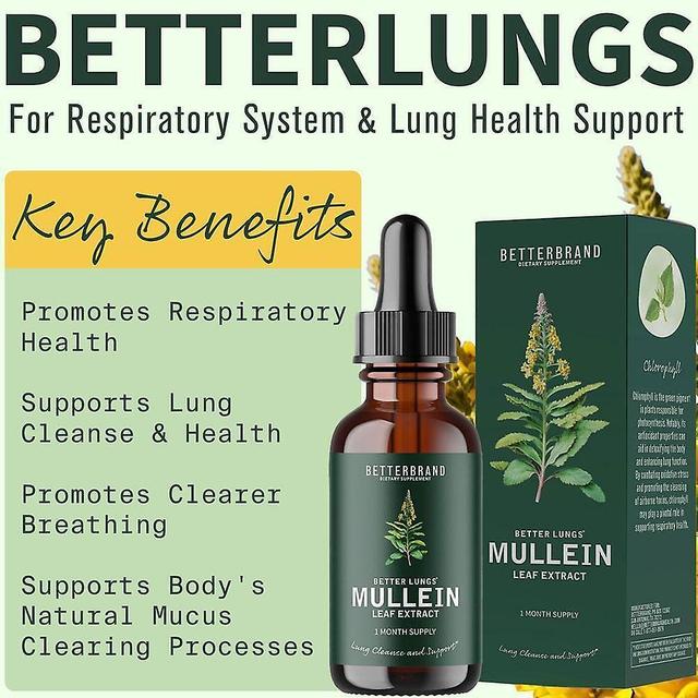 2X Mullein Leaf Drops Lung Purification Healthy Breathing ForRespiratory Function on Productcaster.