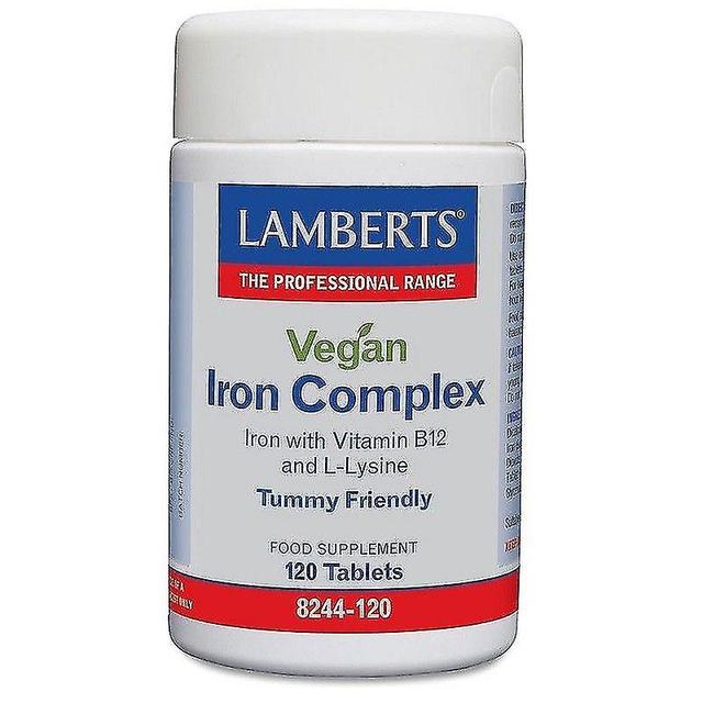 Vegan Iron Complex Tablets 120 (8244-120) on Productcaster.