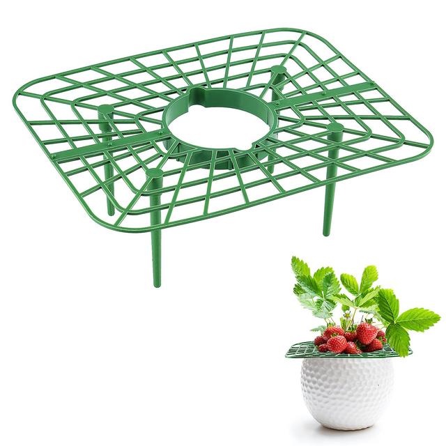 Durable Strawberry Support Tray Holder, Prevent Rot And Maintain Fruit Quality on Productcaster.