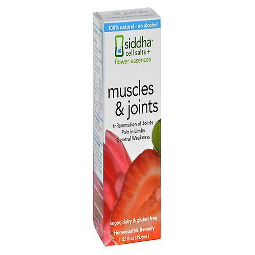 Sidda Flower Essences Cells Salts + Flower Essences - Muscle & Joints, 1 Oz (Pack of 1) on Productcaster.