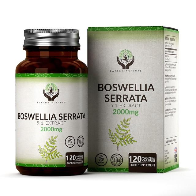 Earth's Nurture Extrato de Boswellia Serrata 2000mg 120 Cápsulas 1 Bottle (120 Capsules) on Productcaster.