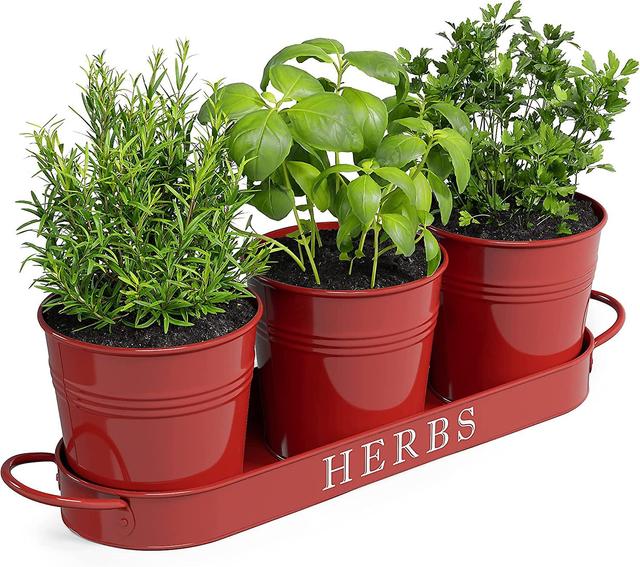 Hgbd-barnyard Designs Farmhouse Herb Garden Planter Indoor Planter Set With Tray Or Outdoor Apartment Window Planter Box, Windowsill Planter Box, Indo on Productcaster.