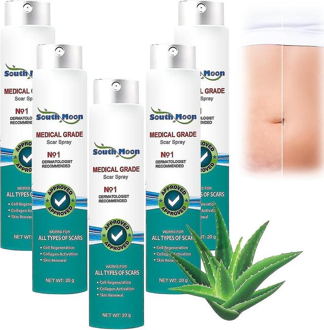 Huasi Proregen Scar Remove Medical Grade Scar Spray, South Moon Medical Grade Scar Spray Do wszystkich rodzajów blizn, gładka skóra (3 sztuk / 60g)... on Productcaster.