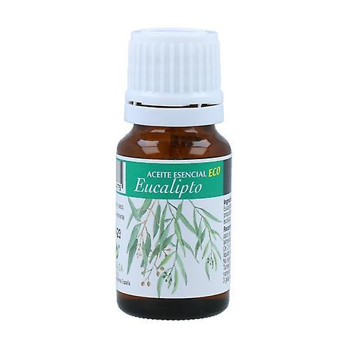 Plantis Eucalyptus Essential Oil 10 ml on Productcaster.