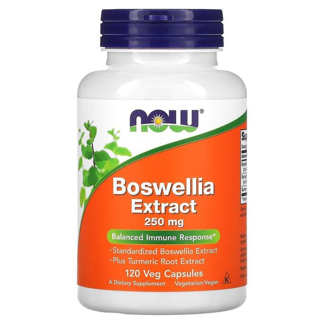 NOW Foods, Boswellia Extract, 250 mg, 120 Veg Capsules on Productcaster.