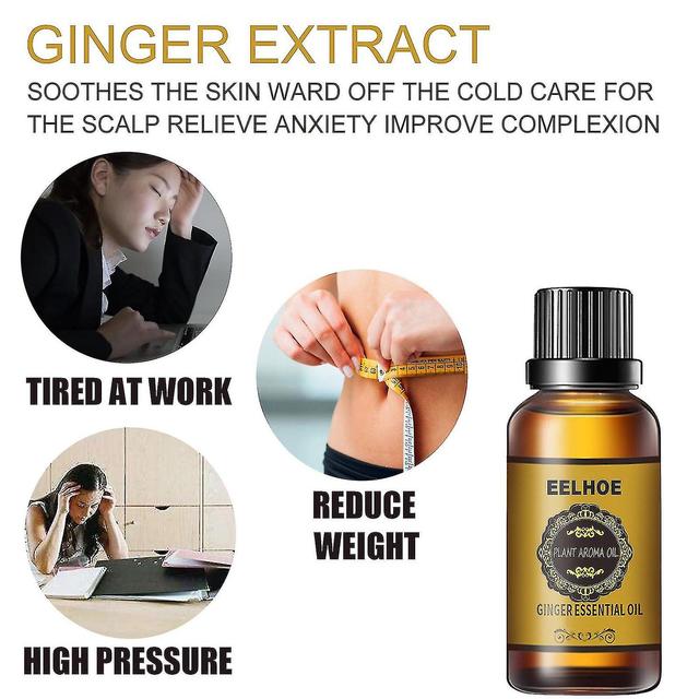 Ginger Oil For Abdominal Drainage, Ginger Oil For Slimming Massage, Botanical Aromatic Natural Organ 1PC on Productcaster.