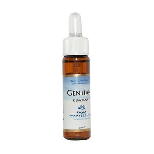 Forza Vitale FM Gentian (Gentian) 10 ml of floral elixir on Productcaster.