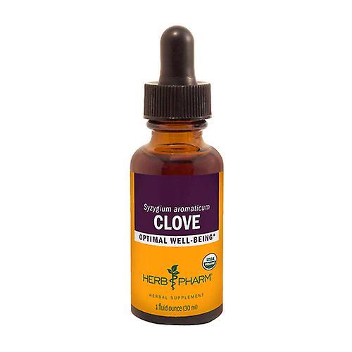 Herb Pharm Clove Extract, 1 Oz (Pack of 3) on Productcaster.