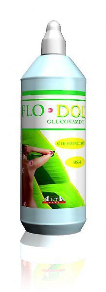 Flodol Glucosamine Gel 500ml on Productcaster.