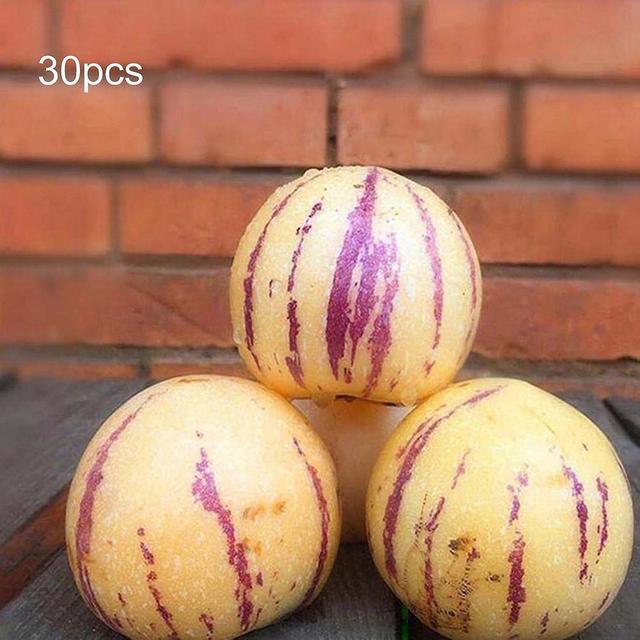 3 x 30Pcs/Bag Pepino Melon Seeds Non Gmo Easy Care Nutritious Muricatum Aiton Seeds Ginseng Fruit Se on Productcaster.