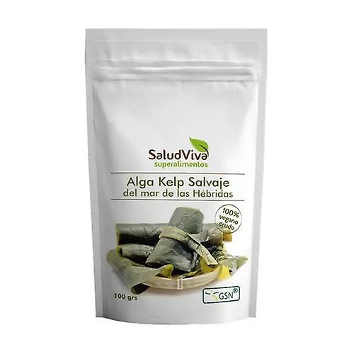 Salud Viva Kelp Seaweed Powder 100 g on Productcaster.