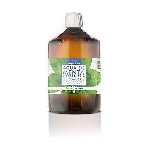 Terpenic Piperita Mint Water Hydrolate Bio 250 ml of floral water on Productcaster.