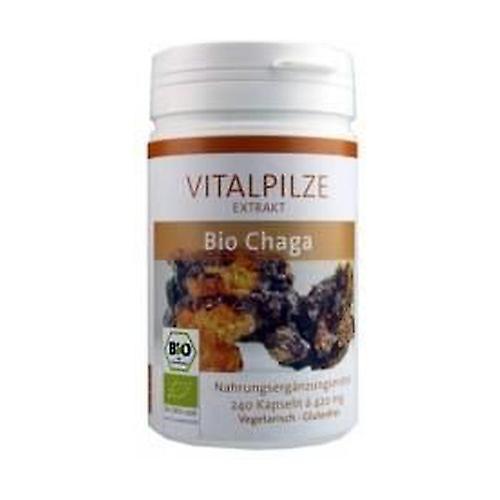 Pilze Wohlrab Chaga Bio 60 kapsler on Productcaster.