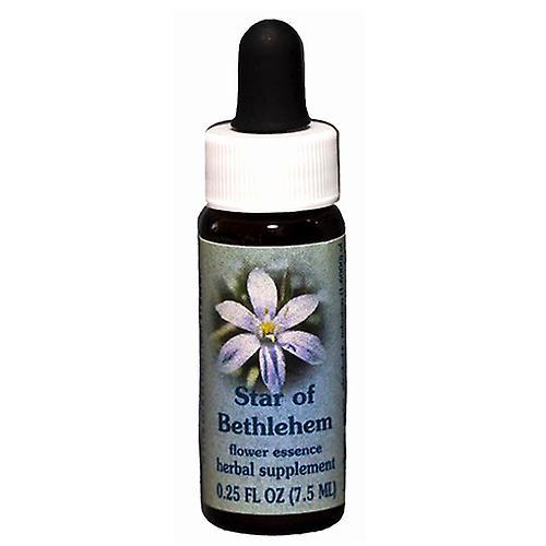 Flower Essence Services Star of Bethlehem Dropper, 0.25 oz (Opakowanie 3) on Productcaster.