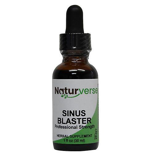 Naturverse Sinus Blaster Liquid Extract, 1 Oz on Productcaster.