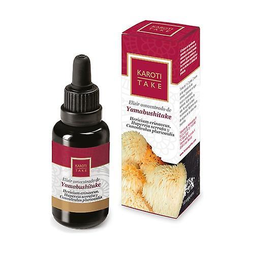 Hiranyagarba Karoti-take yamabushitake 30 ml kvetinového elixíru on Productcaster.