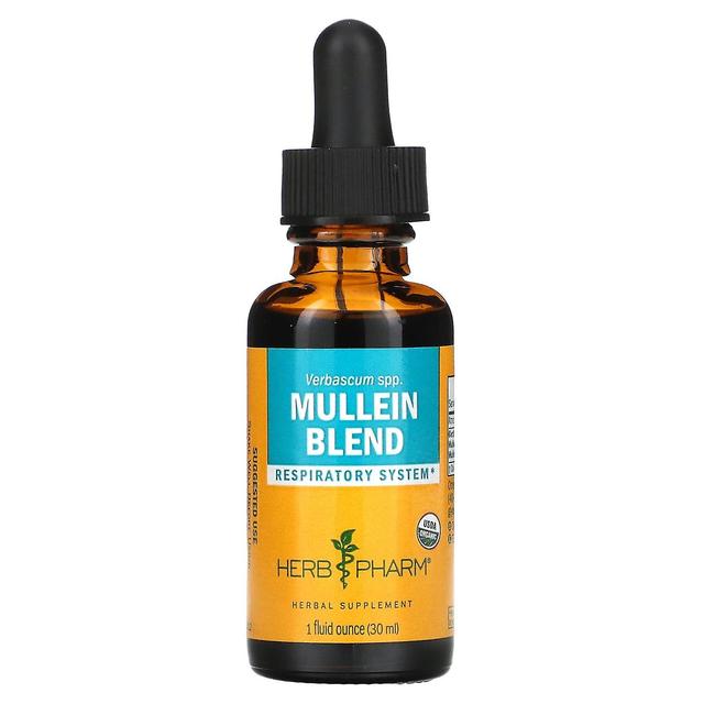 Herb Pharm, Mullein Blend, 1 fl oz (30 ml) on Productcaster.