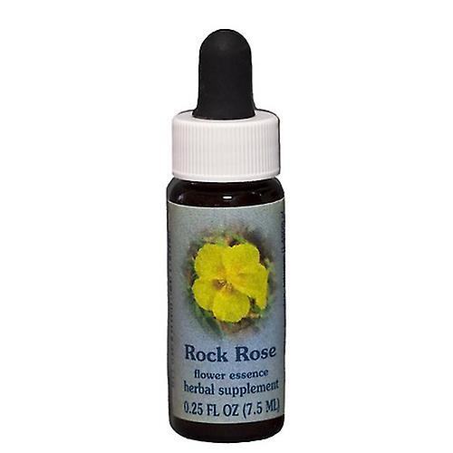 Flower Essence Services Rock Rose Dropper, 0.25 oz (Pack of 2) on Productcaster.