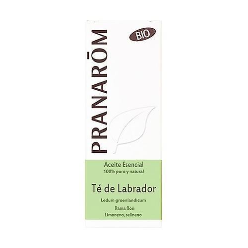 Pranarôm Labrador Tea Essential Oil 5 ml of essential oil on Productcaster.