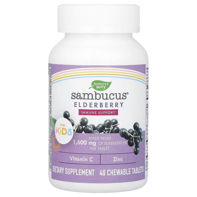 Nature's Way, Sambucus pre deti, baza, 1 600 mg, 40 žuvacích tabliet on Productcaster.