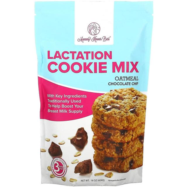 Mommy Knows Best, Lactation Cookie Mix, Oatmeal Chocolate Chip, 16 oz (454 g) on Productcaster.