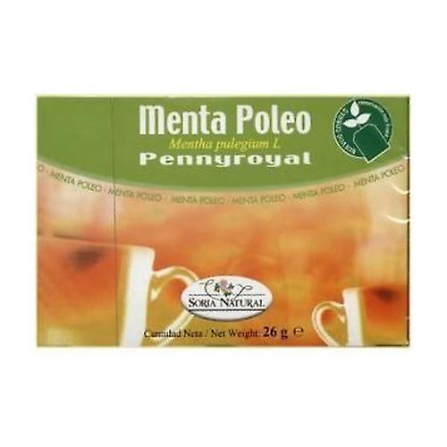 Soria Natural Mint Pennyroyal Infusions 20 infusion bags on Productcaster.