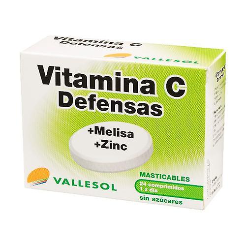 Vallesol Vitamin C, Melissa and Zinc 24 tablets on Productcaster.